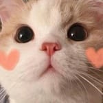 Daniela Solís avatar