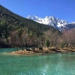 Carolina Sandoval avatar